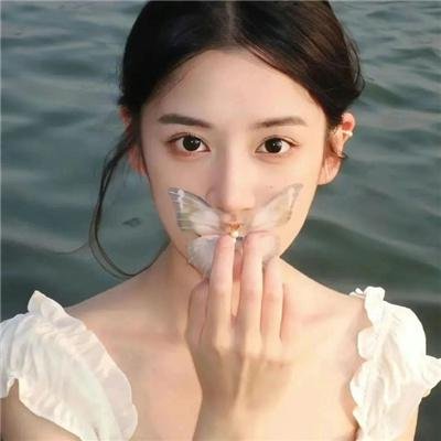 探查医秘